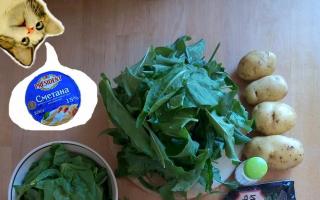 Delicious green borscht with spinach