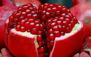 Seedless pomegranate - cross-sectional appearance, benefits and harms