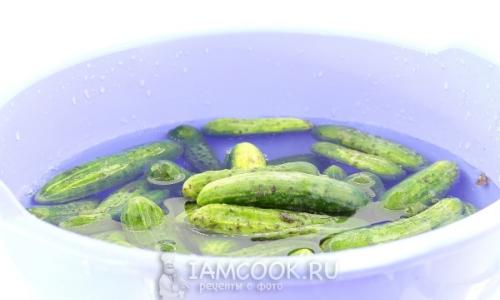 Cucumbers in mustard dressing Cucumbers in mustard dressing per kg of cucumbers