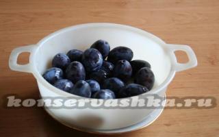 Recipes for pickled vegetables, berries and fruits Homemade pickled plums recipe in a jar