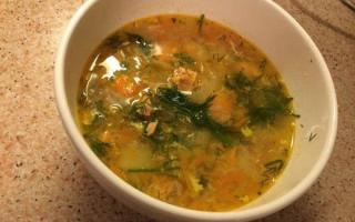 How to cook delicious fish soup from fish heads - recipe with photos