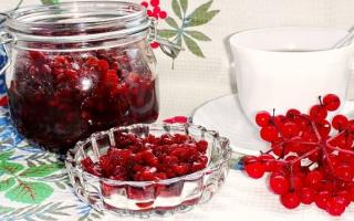 Roter Viburnum: Rezepte für den Winter, Zubereitungen aus Viburnum