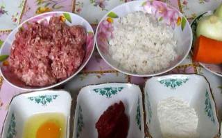 Fleischbällchen ohne Reis mit Soße im Bratpfannenrezept mit Foto