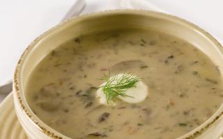 मशरूम का सूप स्वादिष्ट होता है.  मशरूम का सूप।  धीमी कुकर में मशरूम का सूप