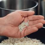 Recipes, secrets and gourmet tips: how to cook risotto at home