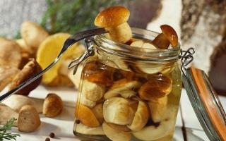 The best recipes for marinades for mushrooms