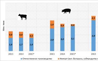 Lebensmittelverbrauchsstatistik in der UdSSR und RF