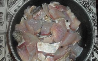 Roach herring at home