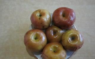 Apples in caramel: step-by-step recipe for making dessert with photos Step-by-step instructions for caramelizing dried apples