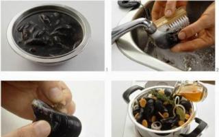 How to clean frozen mussels without a sink?