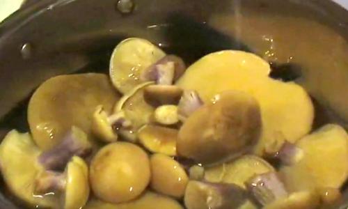 Как мариновать грибы рядовки: простые рецепты Рядовка серая жареная