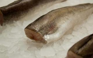 Hake fish - how to cook and how long to cook?