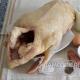 Rezept für gehackte Entenkoteletts Utolina Was man aus Entenhackfleisch machen kann