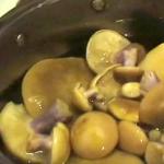 Wie man Ryadovka-Pilze einlegt: einfache Rezepte Gebratene graue Ryadovka-Pilze