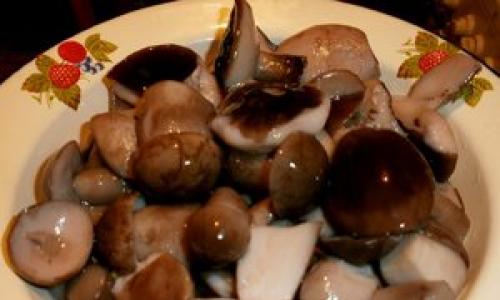 Можно ли жарить маринованные грибы с картошкой?