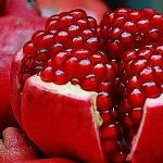 Seedless pomegranate - cross-sectional appearance, benefits and harms