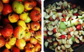 Как приготовить яблочный уксус в домашних условиях